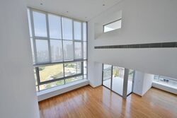 Skyline @ Orchard Boulevard (D9), Apartment #541968591
